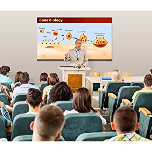 Sharp NEC Display AQUOS 4P-B50EJ2U Digital Signage Display - 49.5" LCD - High Dynamic Range (HDR) - 3840 x 2160 - Direct LED - 300 Nit - 2160p - HDMI - USB - SerialEthernet