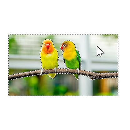 Photoshop Elements 2024 Perpetual License for Windows & Mac, License Card