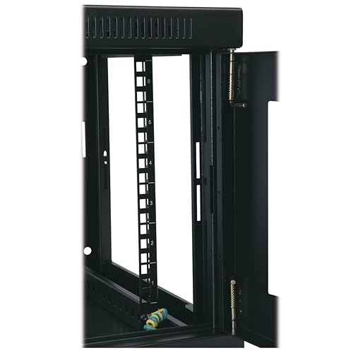Tripp Lite 6U Wall Mount Rack Enclosure Server Cabinet, 20.5 Deep, Switch-Depth