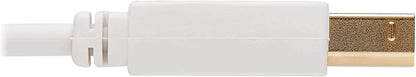 TRIPP LITE CONNECTIVITY U022AB-006-WH SAFE-IT USB-A TO USB-B CABLE