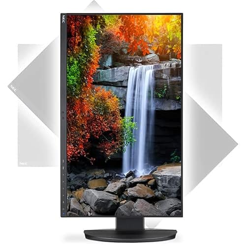 NEC Display MultiSync EA242F-BK 24" Class Full HD LCD Monitor - 16:9 - Black