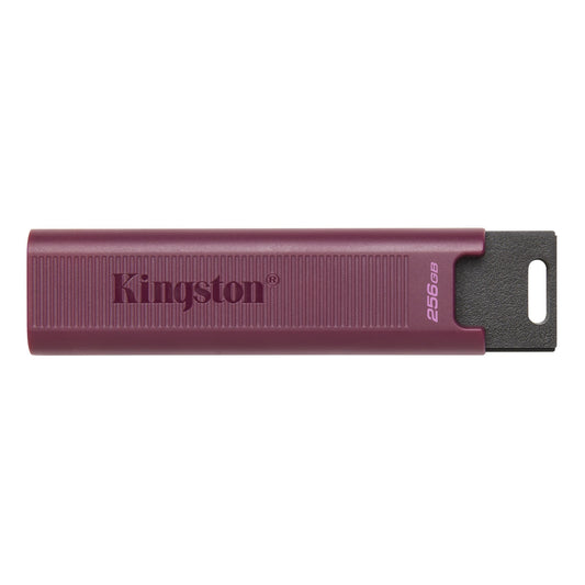 Kingston USB 3.2 Flash Drive DataTraveler MAX 256 GB