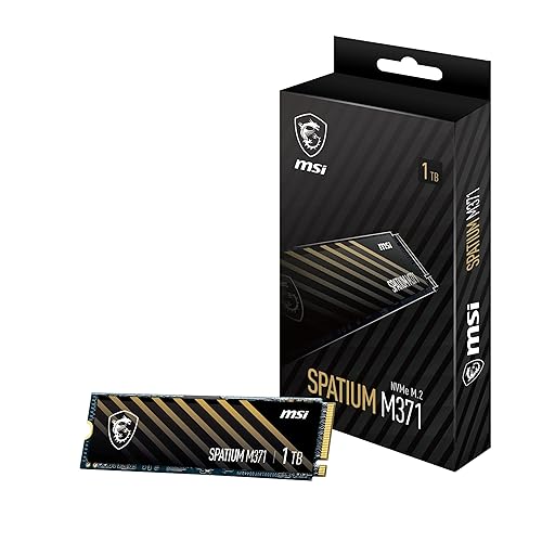 MSI SPATIUM M371 NVME M.2 1TB Internal Solid State Drive 1000 GB PCI Express 4.0 3D NAND (SPATIUM M371 NVME M.2 1TB)