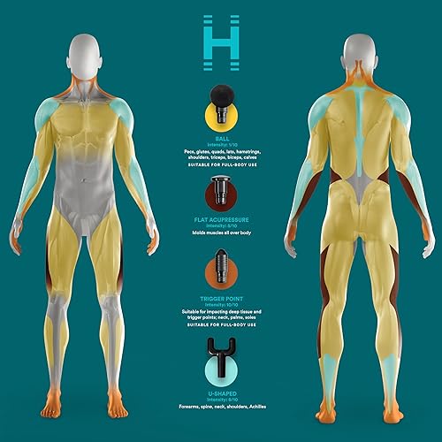Homedics Therapist Select Percussion Massager, Deep Tissue Muscle Massage Gun, 3 Intensity Levels, Rechargeable Battery, 4 Attachments, for Back, Shoulder, Neck, with Storage Case