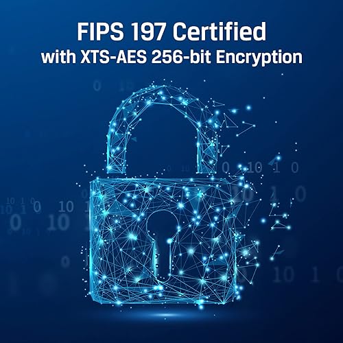 Kingston Technology IronKey Vault Privacy 80 480 GB Blue