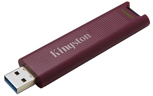 Kingston USB 3.2 Flash Drive DataTraveler MAX 256 GB