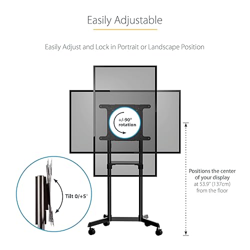 StarTech.com Mobile TV Cart - Portable Rolling TV Stand for 37-70 VESA Display (154lb/70kg) - TV Stand w/Shelf & Storage Compartment - Rotate/Tilt Display - Universal TV Mount on Wheels (MBLTVSTNDEC) Single TV 37-70