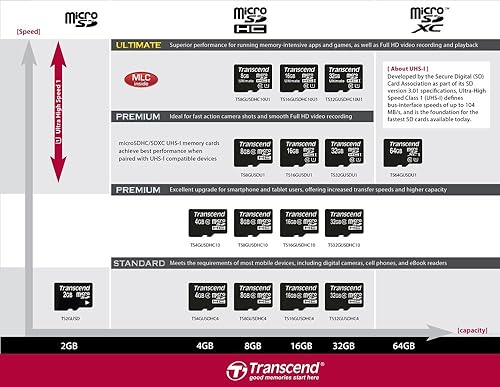 Transcend 8 GB Class 10 microSDHC Flash Memory Card TS8GUSDHC10 (Discontinued by Manufacturer) 8GB Standard Packaging