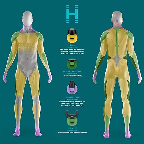 Homedics Rebound Percussion Massager, Ergonomic with QuietPower Technology, 4 Attachments plus QuickCarry System, 3 Muscle-Targeting Modes & 4 Speeds, Portable for Home, Gym, and Travel
