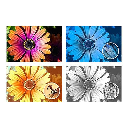 Photoshop Elements 2024 Perpetual License for Windows & Mac, License Card