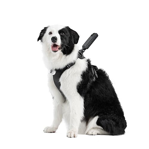 Insta360 Accessory Cinsbavz Pet Harness Mount Size L Retail