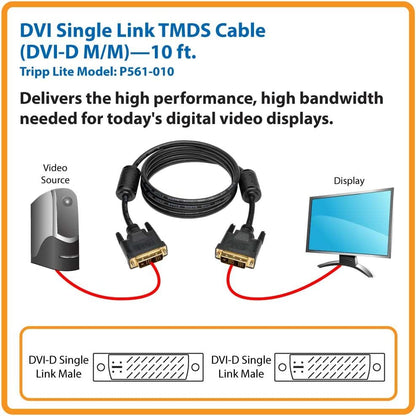Tripp Lite P561-010 10 -Feet DVI Single Link TDMS Cable - DVI-D M/M 10-feet