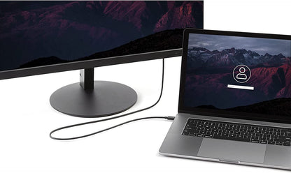 StarTech.com 6ft/1.8m USB C to DisplayPort 1.2 Cable 4K 60Hz - USB-C to DP Adapter HBR2 - USB Type-C DP Alt Mode to DP Monitor Video Cable (CDP2DPMM6B) - Limited stock, see similar item CDP2DP2MBD 6 ft / 2 m Black