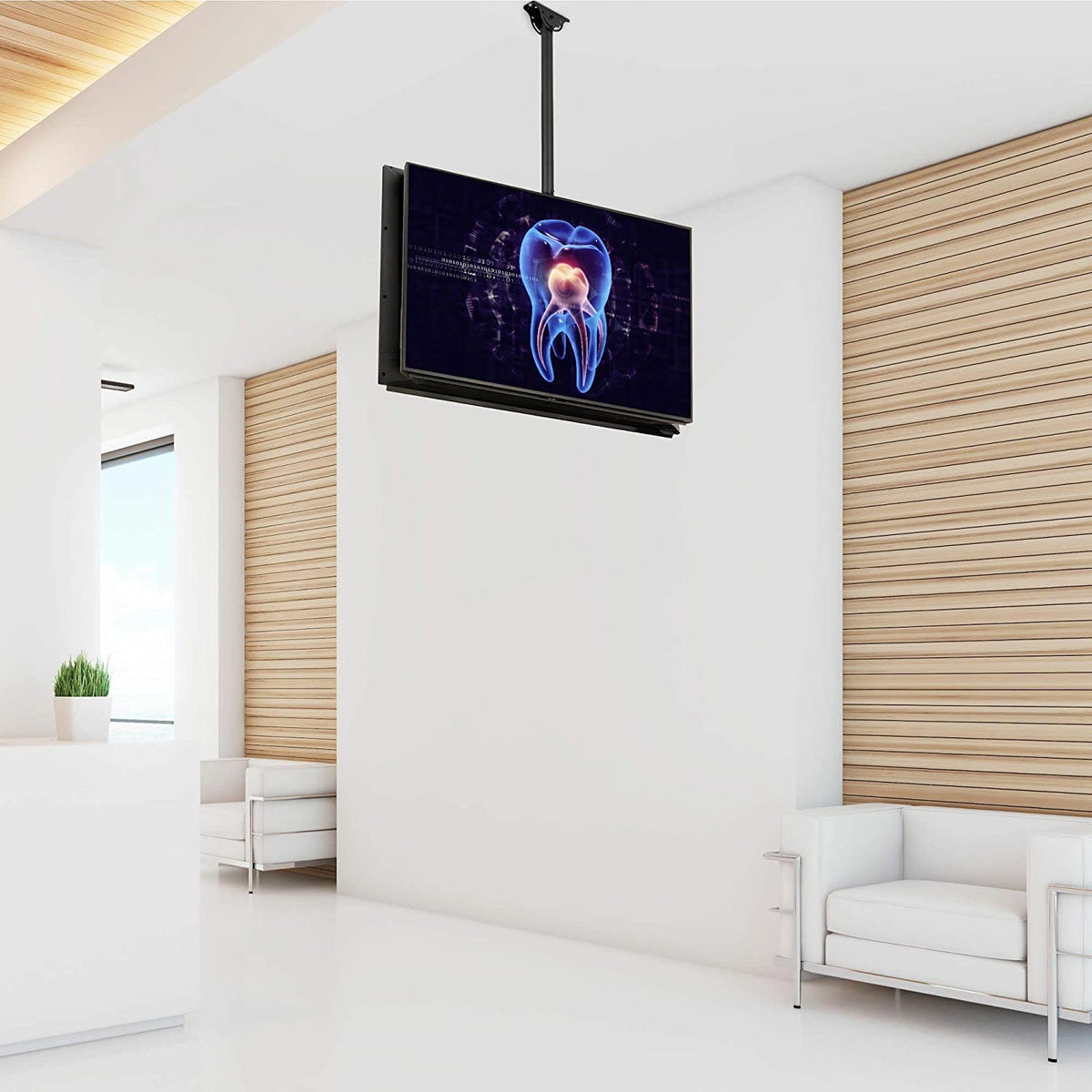 StarTech.com Dual TV Ceiling Mount - Back-to-Back Heavy Duty Hanging Dual Screen Mount with Adjustable Telescopic 3.5' to 5' Pole - Tilt/Swivel/Rotate - VESA Bracket for 32”-75" Displays (FPCEILBTB) 41.7"-61.4" Dual TV