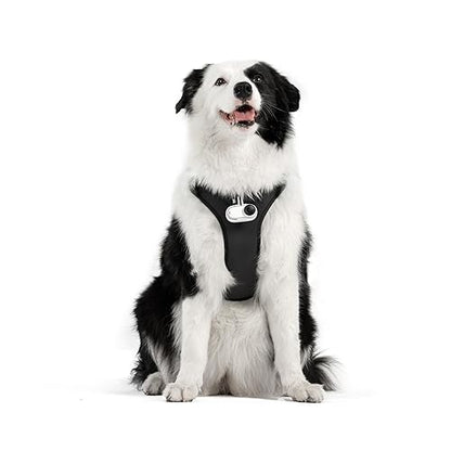 Insta360 Accessory Cinsbavz Pet Harness Mount Size L Retail