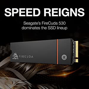 Seagate FireCuda 530 1TB Solid State Drive - M.2 PCIe Gen4 Ã—4 NVMe 1.4, PS5 Internal SSD, speeds up to 7300MB/s, 3D TLC NAND, 1275 TBW, 1.8M MTBF, Heatsink, Rescue Services (ZP1000GM3A023) 1TB 530 w/ Heatsink NVMe - Gen 4