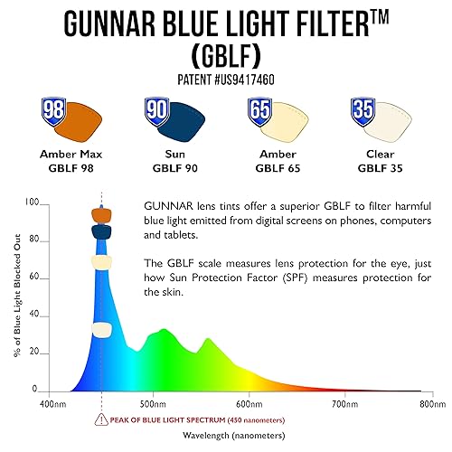 GUNNAR - Premium Gaming & Computer Blue Light Blocking Glasses for Men & Women - Digital Eye Strain Protection - Ellipse Black Amber Lens