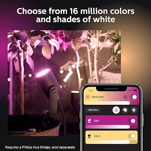 Philips Hue White & Colour Ambiance Lily Outdoor Spot Base kit, black