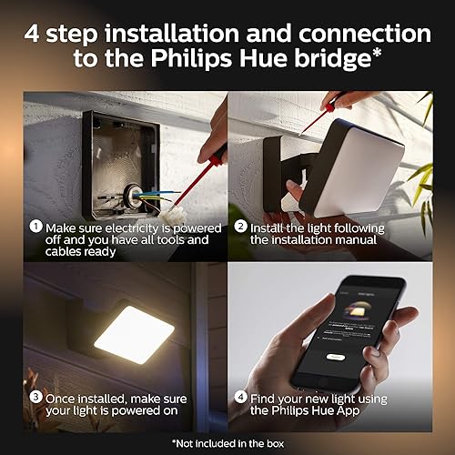 Philips Hue 1743530V7 Discover Floodlight, Black