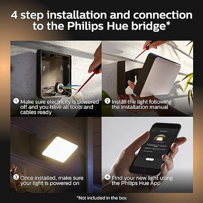 Philips Hue 1743530V7 Discover Floodlight, Black