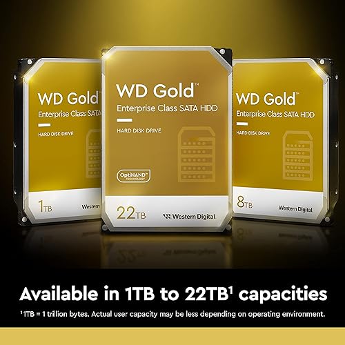 Western Digital Gold 3.5 22000 GB Serial ATA III