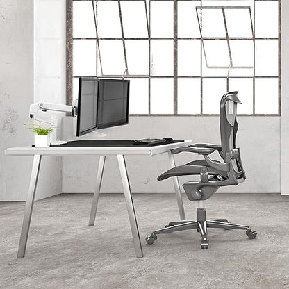 Ergotron - Ergotron LX Dual Direct Arm