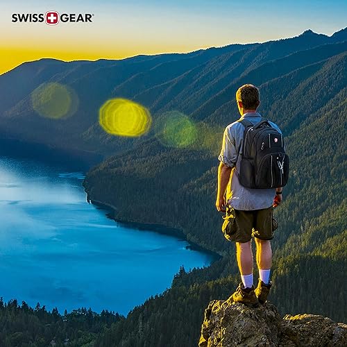 SwissGear unisex-adult Lightweight Under Seat Black