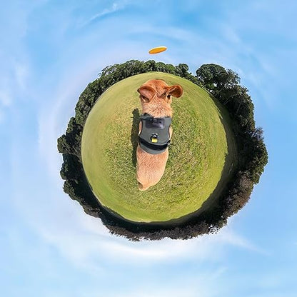 Insta360 Accessory Cinsbavz Pet Harness Mount Size L Retail