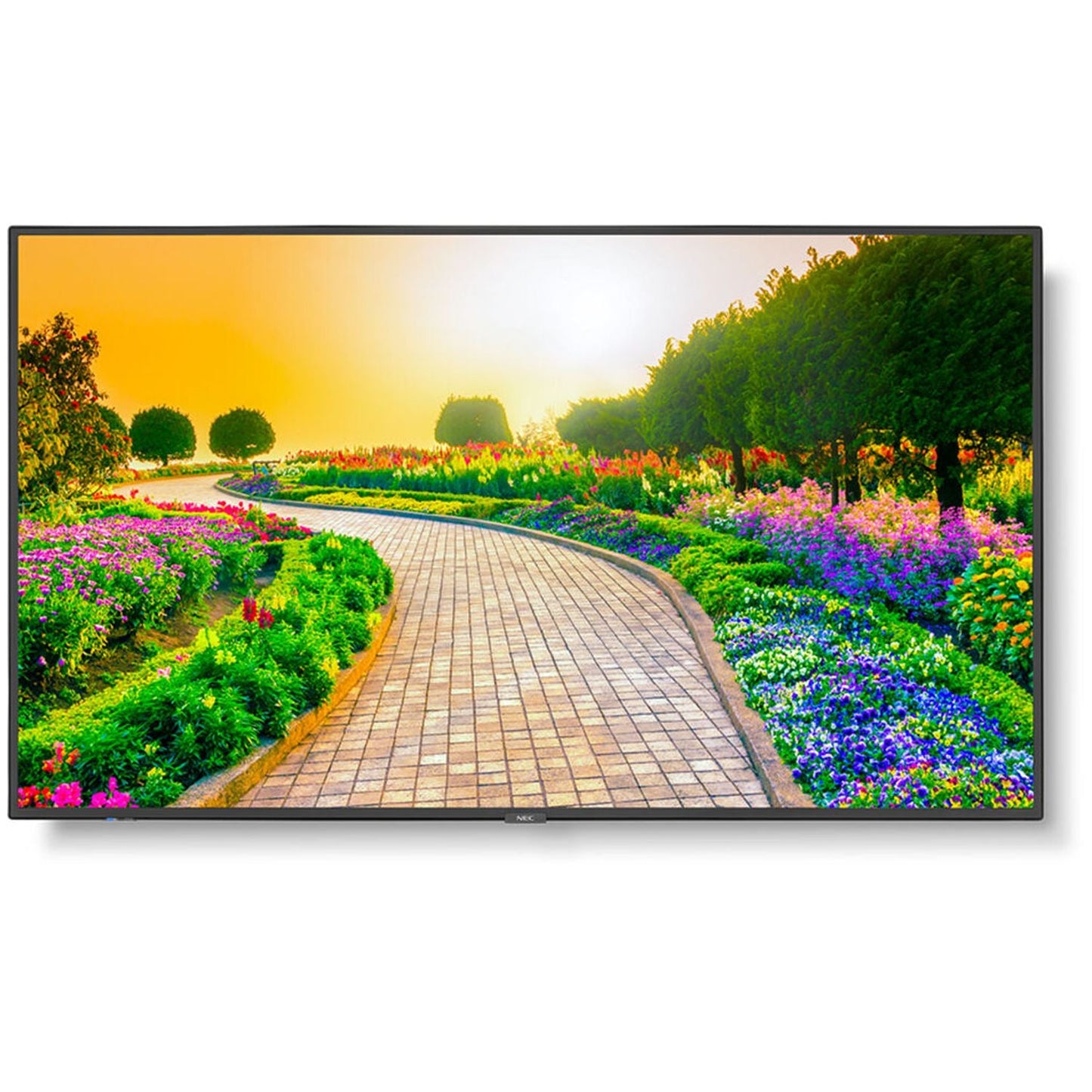 Nec Multisync M431 43" 4k Uhd Ips Led Digital Signage Display