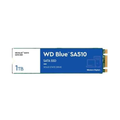 Western Digital Blue SA510 M.2 1000 GB Serial ATA III