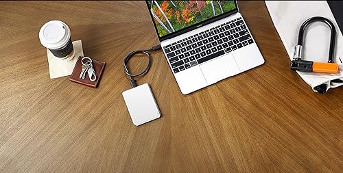 LaCie Seagate Rugged Portable External Hard Drive, 4 TB, USB-C, Silver