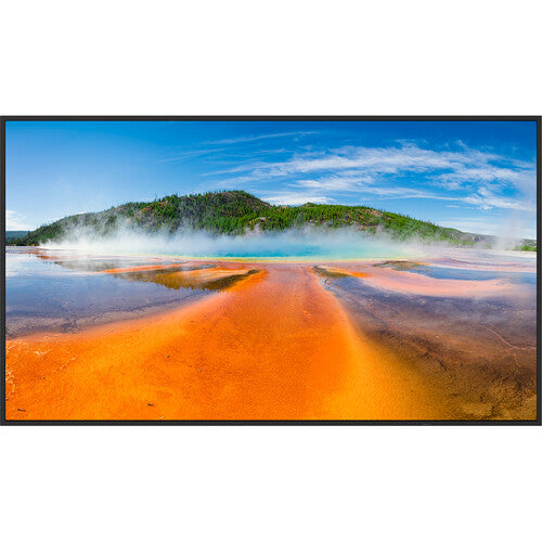 Sharp PN-E559 55" 4K UHD Professional Display