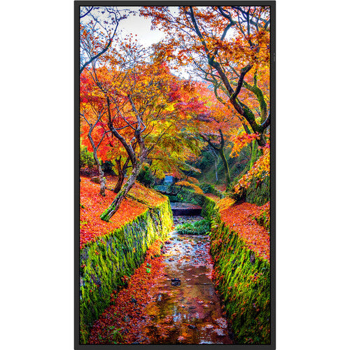 Sharp PN-E559 55" 4K UHD Professional Display